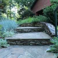 WHAT DOES RISING SENIOR MEAN AND WHAT COUNTRIES USE IT intelligence overview